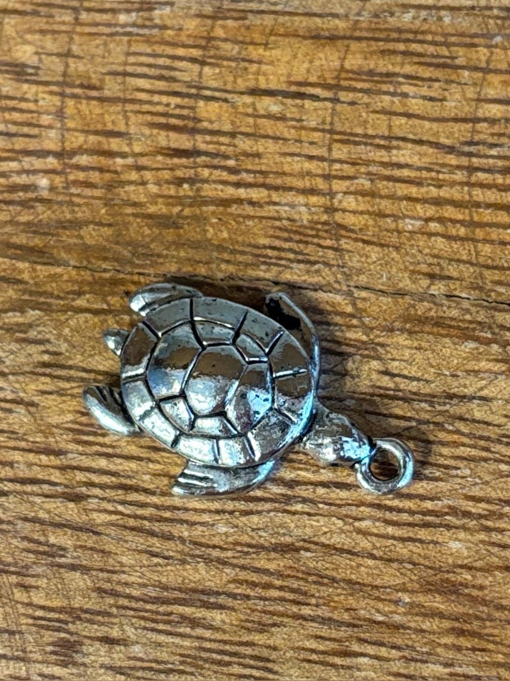 Silver Turtle Charm